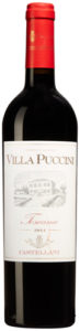 Villa Puccini