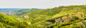 Valpolicella Valpolicella