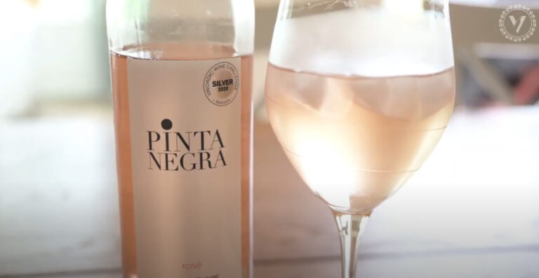 Pinta Negra Rosé