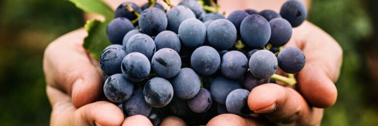 Maceration