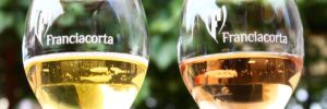Franciacorta – mousserande vin i Lombardiet