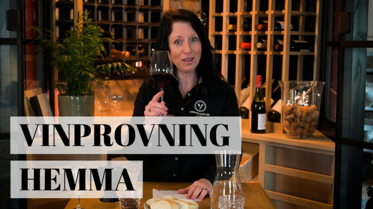 Vinprovning hemma – Hur går en vinprovning till?