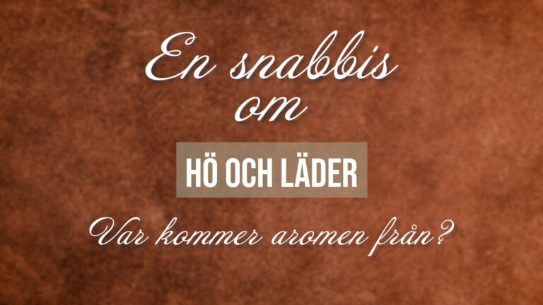 Hö och läder i vin?