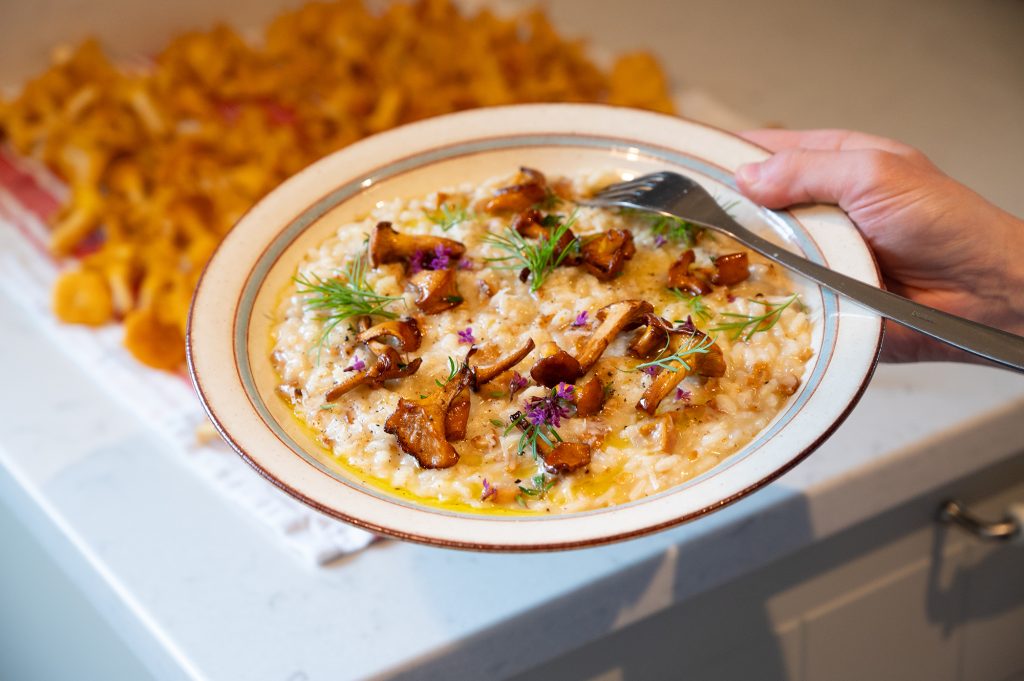 Kantarellrisotto Kantarellrisotto